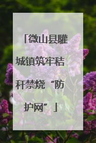 微山县驩城镇筑牢秸秆禁烧“防护网”