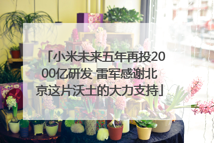 小米未来五年再投2000亿研发 雷军感谢北京这片沃土的大力支持