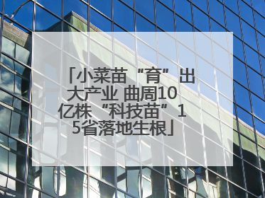 小菜苗“育”出大产业 曲周10亿株“科技苗”15省落地生根