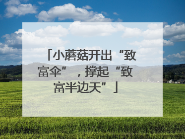 小蘑菇开出“致富伞”，撑起“致富半边天”