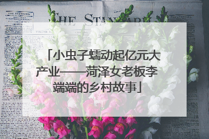 小虫子蠕动起亿元大产业——菏泽女老板李端端的乡村故事