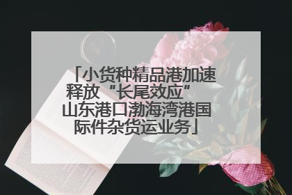 小货种精品港加速释放“长尾效应” 山东港口渤海湾港国际件杂货运业务