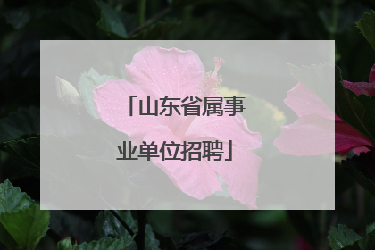 山东省属事业单位招聘