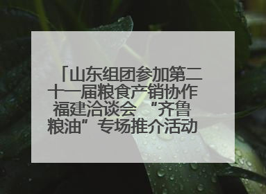 山东组团参加第二十一届粮食产销协作福建洽谈会 “齐鲁粮油”专场推介活动同步举办