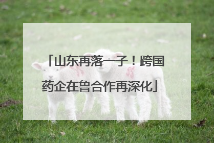 山东再落一子！跨国药企在鲁合作再深化