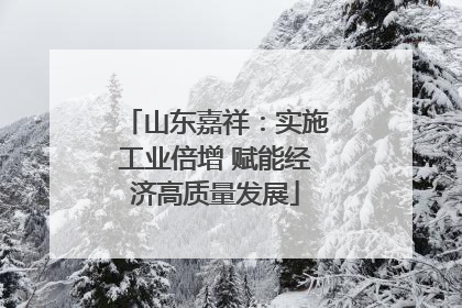 山东嘉祥：实施工业倍增 赋能经济高质量发展