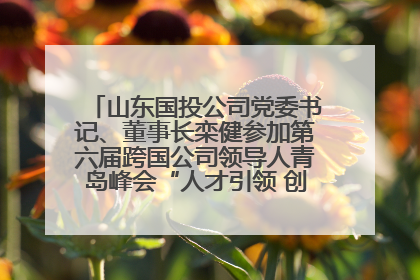 山东国投公司党委书记、董事长栾健参加第六届跨国公司领导人青岛峰会“人才引领 创新驱动”人力资源高质量发展对话会