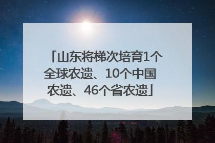 山东将梯次培育1个全球农遗、10个中国农遗、46个省农遗