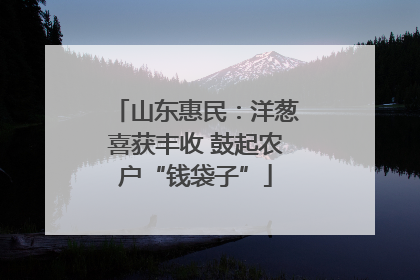 山东惠民：洋葱喜获丰收 鼓起农户“钱袋子”