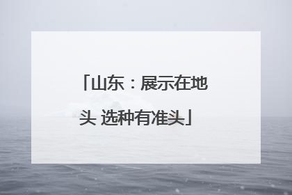 山东：展示在地头 选种有准头