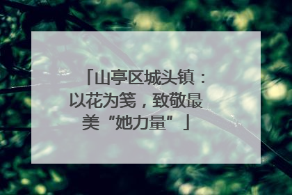 山亭区城头镇：以花为笺，致敬最美“她力量”