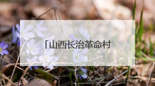 山西长治革命村：“红绿金”三色赋能 跑出富民“加速度”