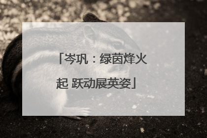 岑巩：绿茵烽火起 跃动展英姿
