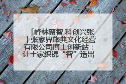 峰林聚智 科创兴张丨张家界旅典文化经营有限公司博士创新站：让土家织锦“智”造出非遗新传奇