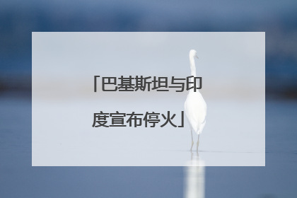 巴基斯坦与印度宣布停火