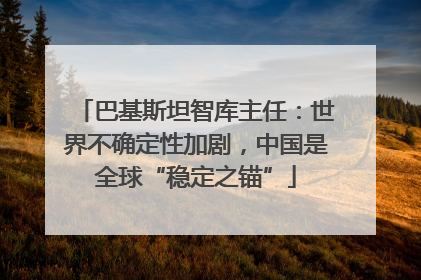 巴基斯坦智库主任：世界不确定性加剧，中国是全球“稳定之锚”