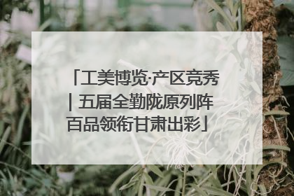 工美博览·产区竞秀｜五届全勤陇原列阵 百品领衔甘肃出彩