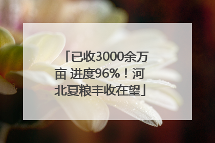 已收3000余万亩 进度96%！河北夏粮丰收在望