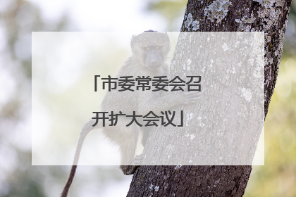 市委常委会召开扩大会议