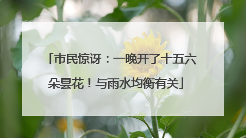 市民惊讶：一晚开了十五六朵昙花！与雨水均衡有关