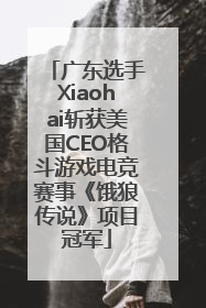 广东选手Xiaohai斩获美国CEO格斗游戏电竞赛事《饿狼传说》项目冠军