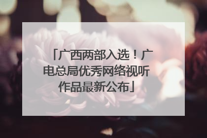 广西两部入选！广电总局优秀网络视听作品最新公布