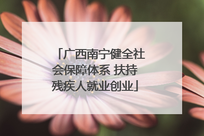 广西南宁健全社会保障体系 扶持残疾人就业创业
