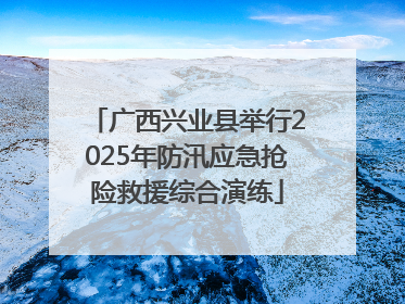 广西兴业县举行2025年防汛应急抢险救援综合演练
