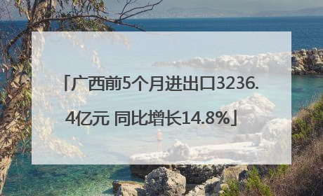 广西前5个月进出口3236.4亿元 同比增长14.8%