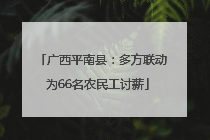 广西平南县：多方联动为66名农民工讨薪