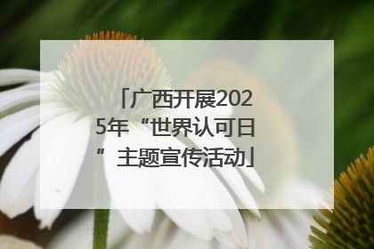 广西开展2025年“世界认可日”主题宣传活动
