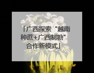 广西探索“越南种蔗+广西制糖”合作新模式