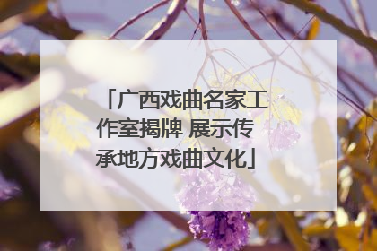 广西戏曲名家工作室揭牌 展示传承地方戏曲文化
