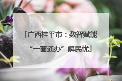 广西桂平市：数智赋能“一窗通办”解民忧