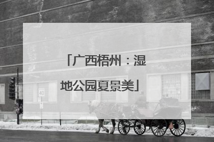广西梧州：湿地公园夏景美