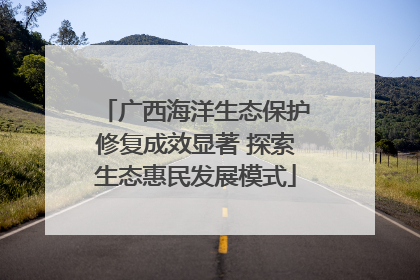 广西海洋生态保护修复成效显著 探索生态惠民发展模式