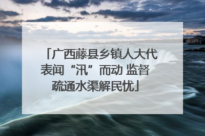 广西藤县乡镇人大代表闻“汛”而动 监督疏通水渠解民忧