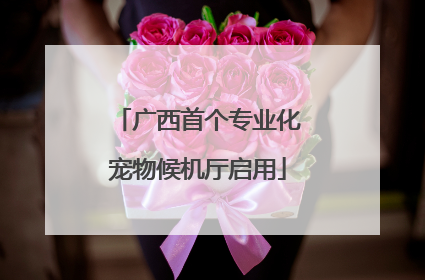 广西首个专业化宠物候机厅启用