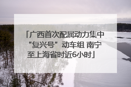 广西首次配属动力集中“复兴号”动车组 南宁至上海省时近6小时