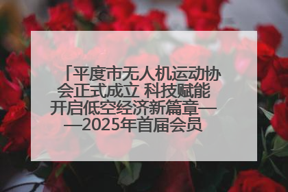 平度市无人机运动协会正式成立 科技赋能开启低空经济新篇章——2025年首届会员大会暨无人机应用发展论坛成功举办