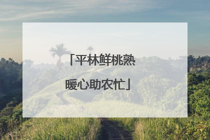 平林鲜桃熟 暖心助农忙