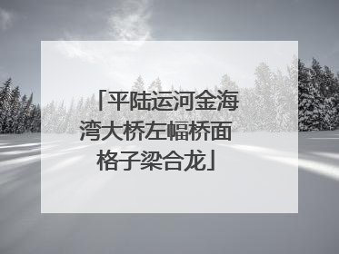 平陆运河金海湾大桥左幅桥面格子梁合龙