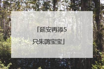 延安再添5只朱鹮宝宝