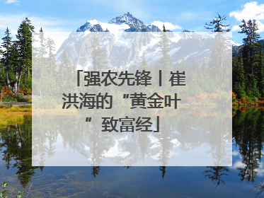 强农先锋丨崔洪海的“黄金叶”致富经