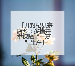 开封杞县宗店乡：多措并举保障“三夏”生产