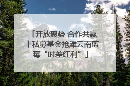开放聚势 合作共赢丨私募基金抢滩云南蓝莓“时差红利”