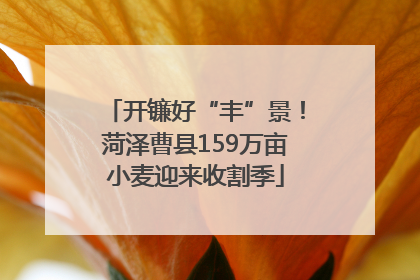 开镰好“丰”景！菏泽曹县159万亩小麦迎来收割季