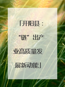 开阳县：“链”出产业高质量发展新动能