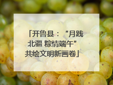 开鲁县：“月践北疆 粽情端午”共绘文明新画卷