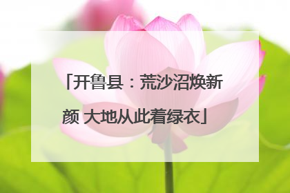 开鲁县：荒沙沼焕新颜 大地从此着绿衣